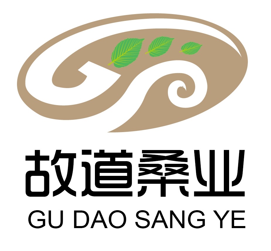 喝茶就可以防脫生發(fā)，太神奇了！桑葉養(yǎng)生茶