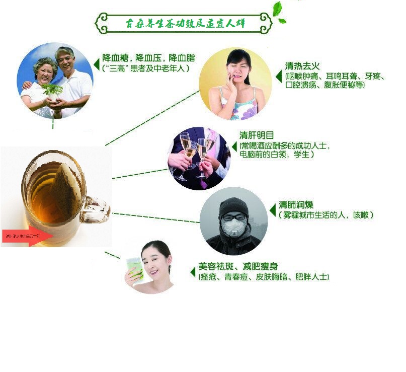 桑葉茶，營養(yǎng)長壽健康之茶