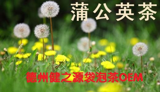 蒲公英茶，今天您喝了嗎？